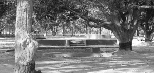 साहित्य सम्राट जर्नल: बंगला भाषा, साहित्य और धरोहर